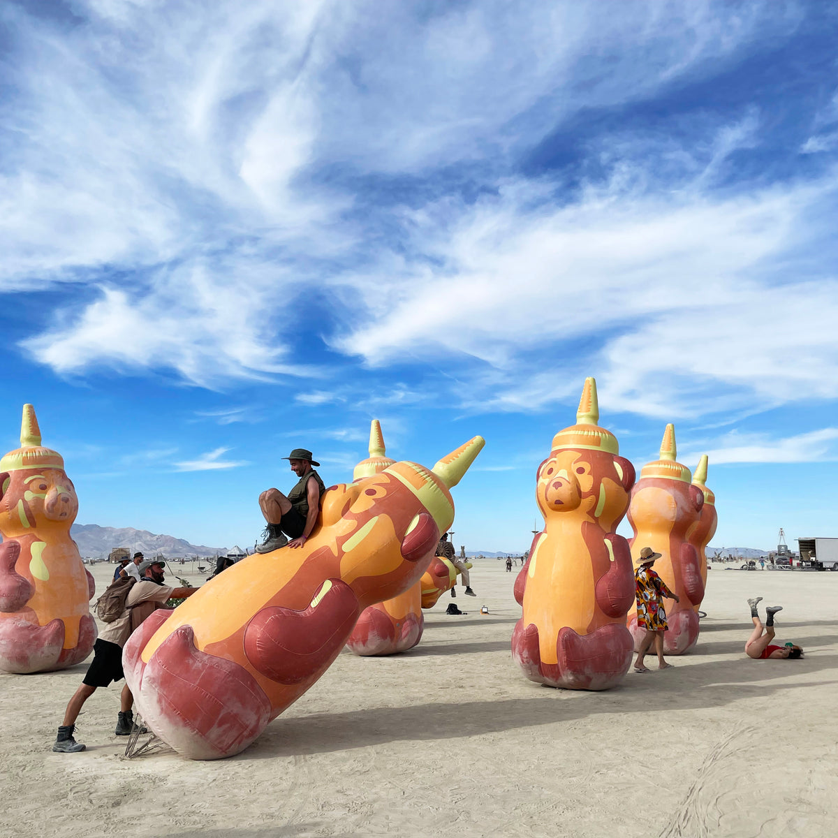 giant bear inflatables 